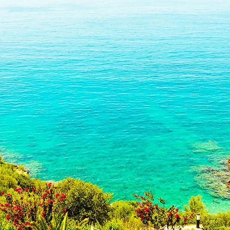 Dreamland * Yeşilköy